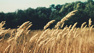 接码短信社区平台