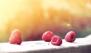 在线轰炸电话网页版